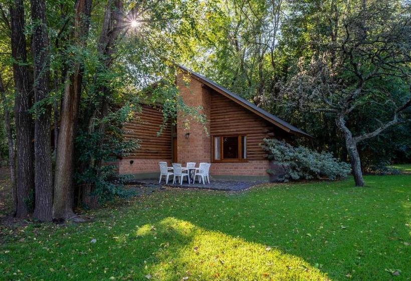 اتاق سوپریور خانوادگی, Grenouille