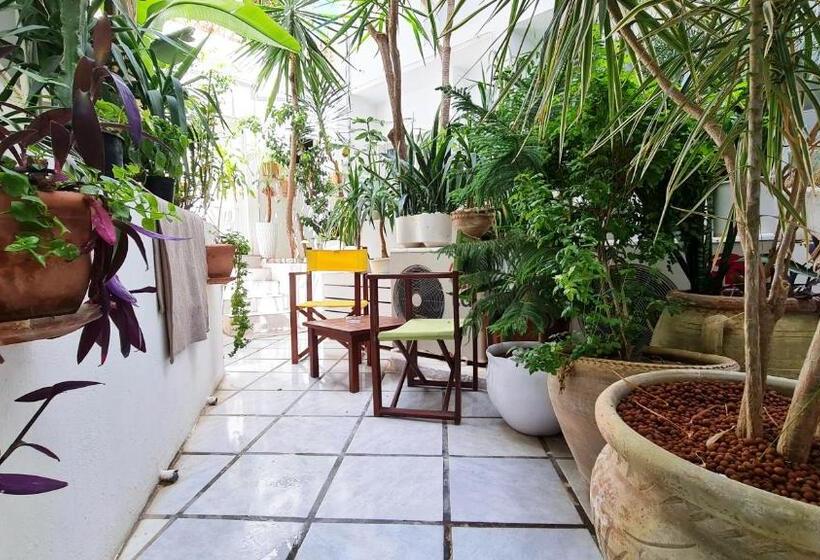 标准单人间, Khella