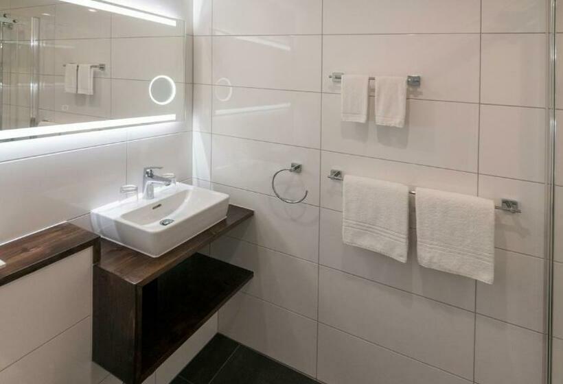 Номер Стандарт, Swiss Inn & Apartments