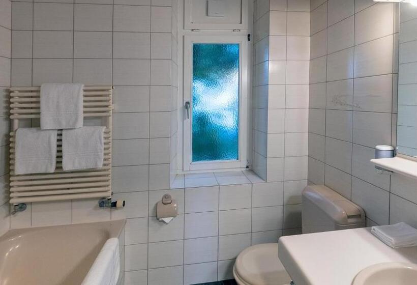 Апартаменты Economy 1 Спальня, Swiss Inn & Apartments