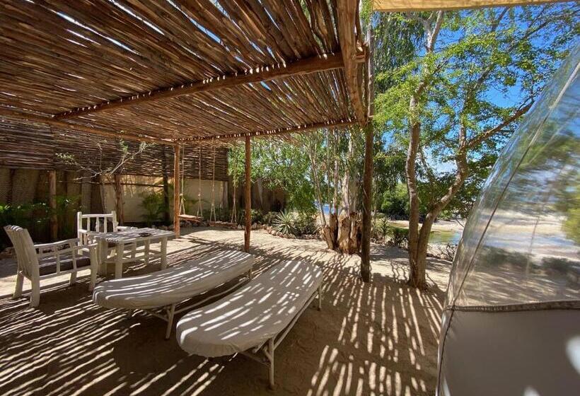 سوئیت با چشمانداز, Rock And Sea Resort