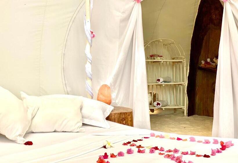 سوئیت با چشم‌انداز, Rock And Sea Resort