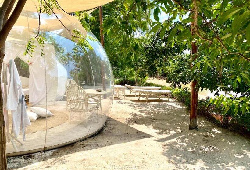 سوئیت با چشم‌انداز, Rock And Sea Resort