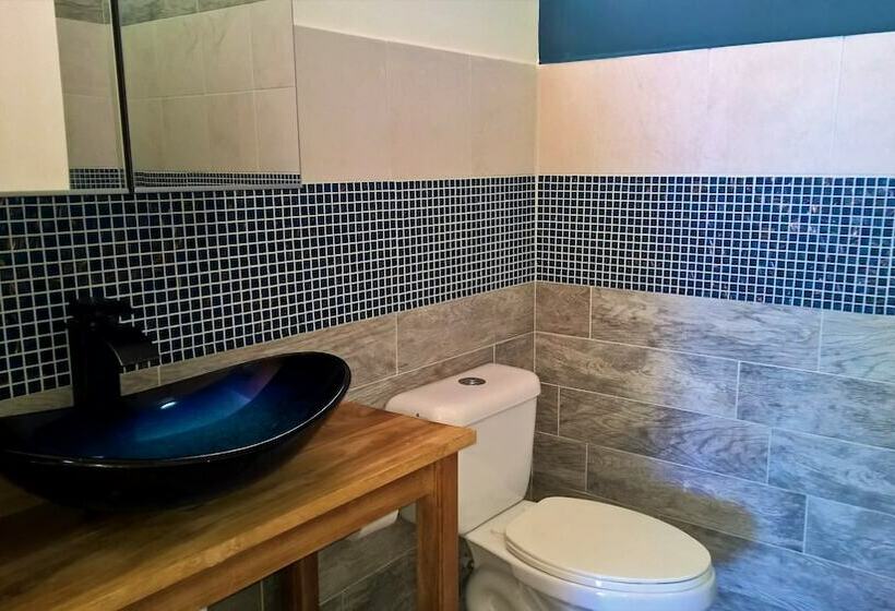 استودیوی استاندارد با تخت دوبل, Cloud9 Dominica Boutique