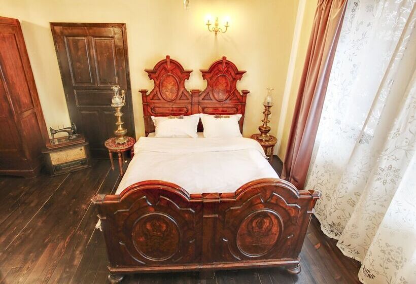 싱글 디럭스 룸, Evmolpia