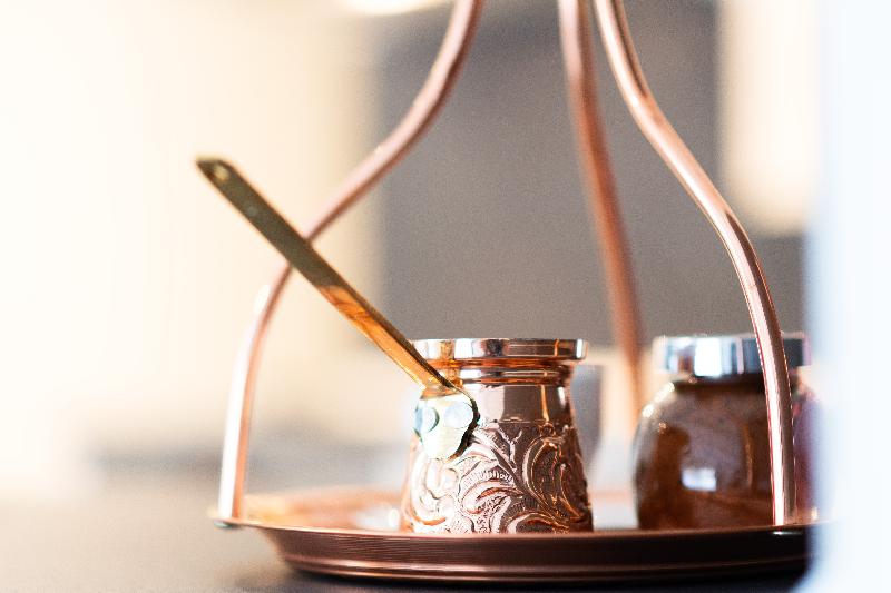 싱글 디럭스 룸, Evmolpia