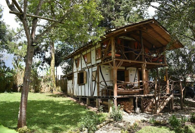 اتاق استاندارد, La Casa De Francois