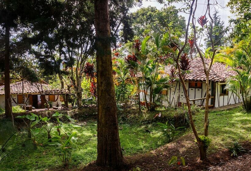 スタンダードルーム, La Casa De Francois