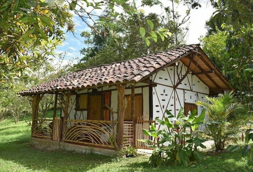 اتاق استاندارد, La Casa De Francois