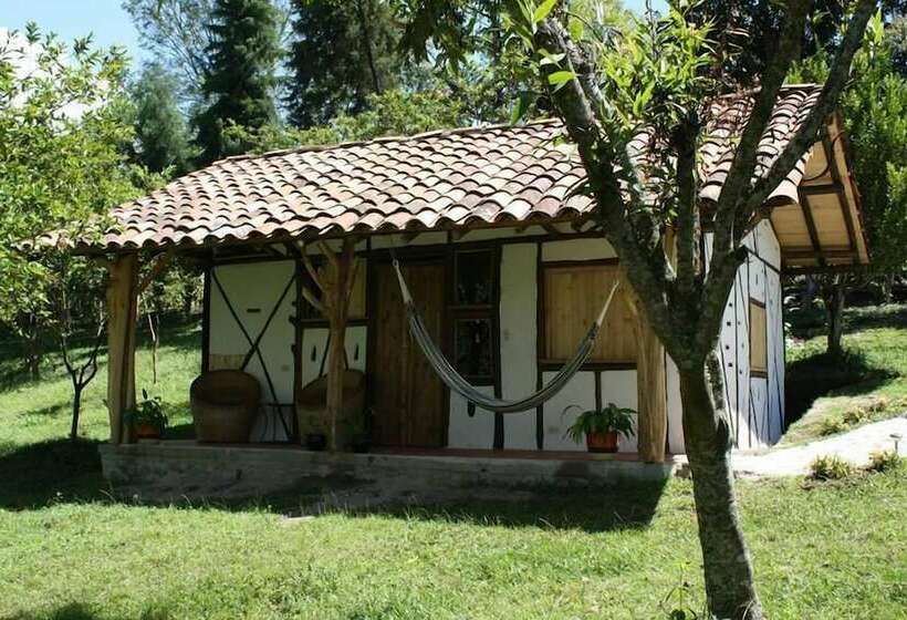 スタンダードルーム, La Casa De Francois