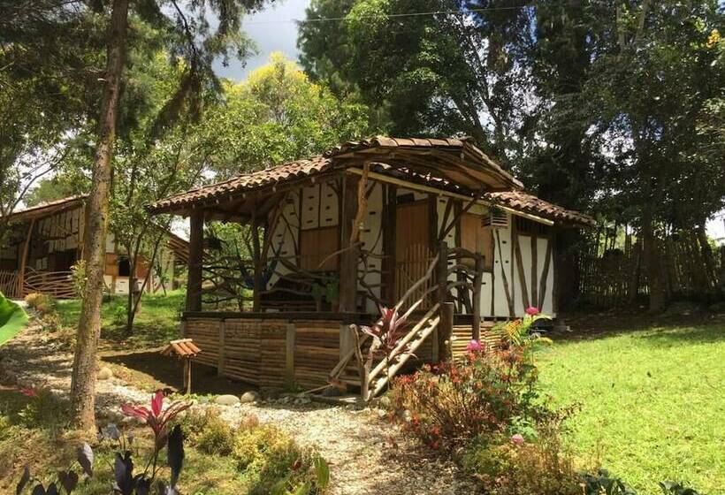 اتاق استاندارد, La Casa De Francois