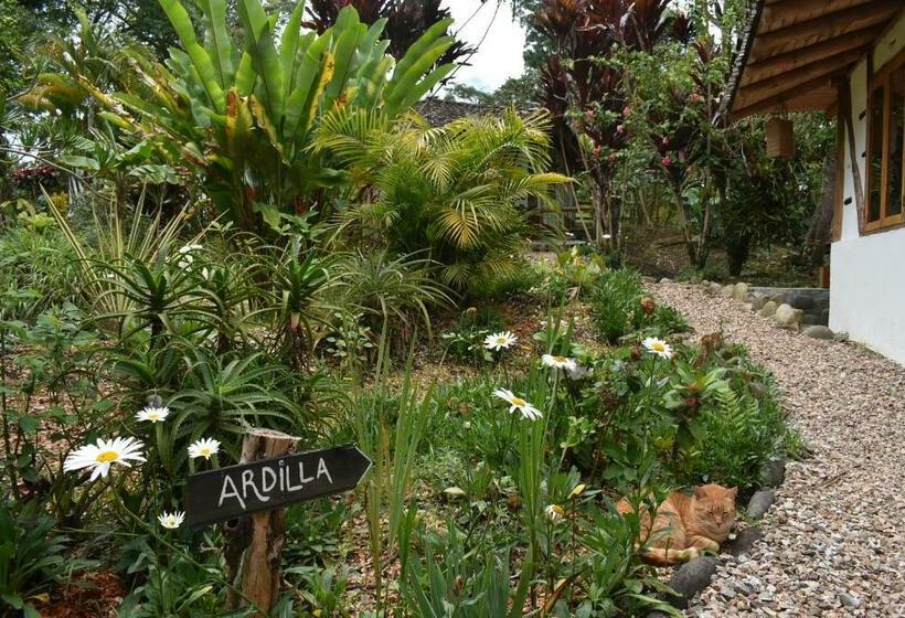 スタンダードルーム, La Casa De Francois