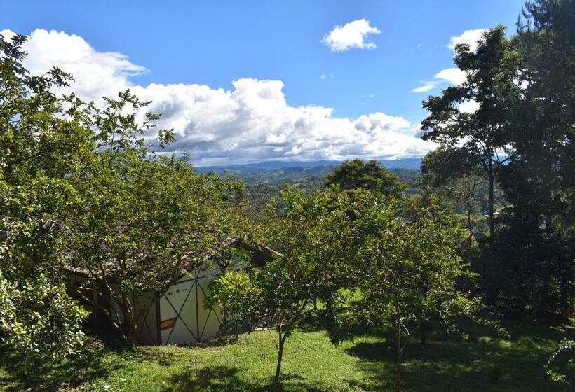 テラス付スタンダードルーム, La Casa De Francois