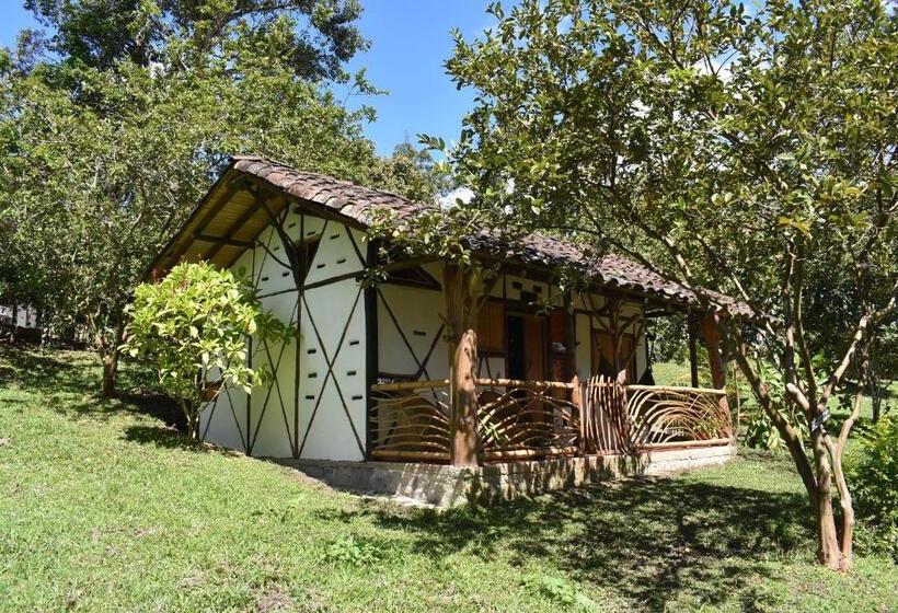 テラス付スタンダードルーム, La Casa De Francois