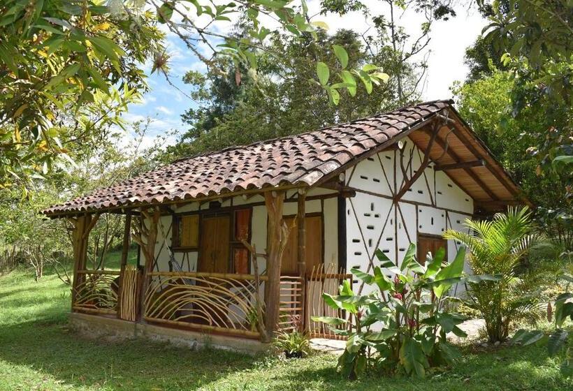 テラス付スタンダードルーム, La Casa De Francois