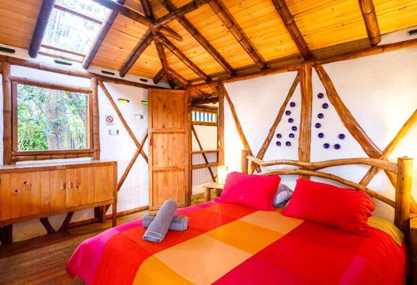 テラス付きスタンダードルーム, La Casa De Francois