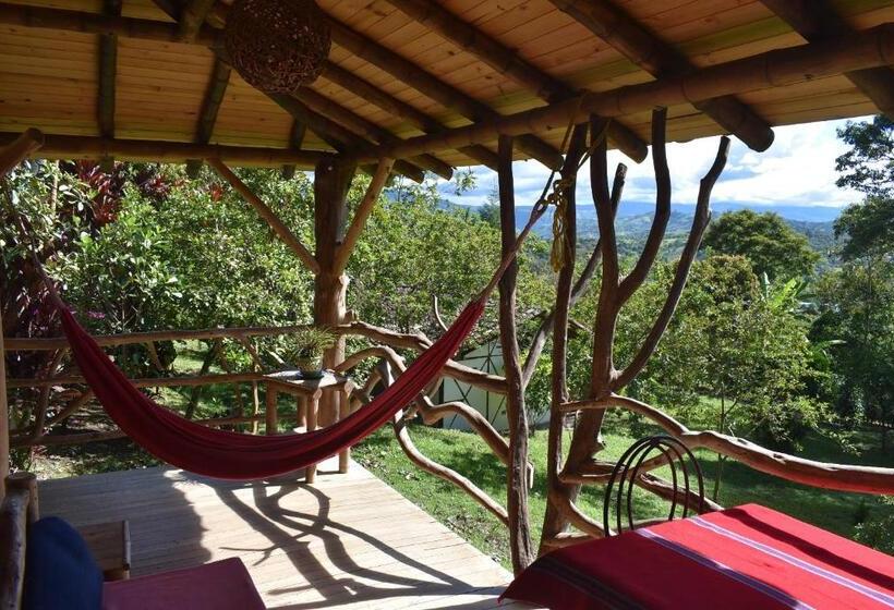 اتاق استاندارد با تراس, La Casa De Francois