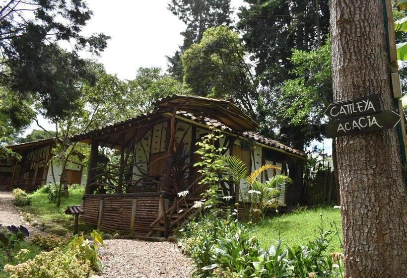 テラス付スタンダードルーム, La Casa De Francois