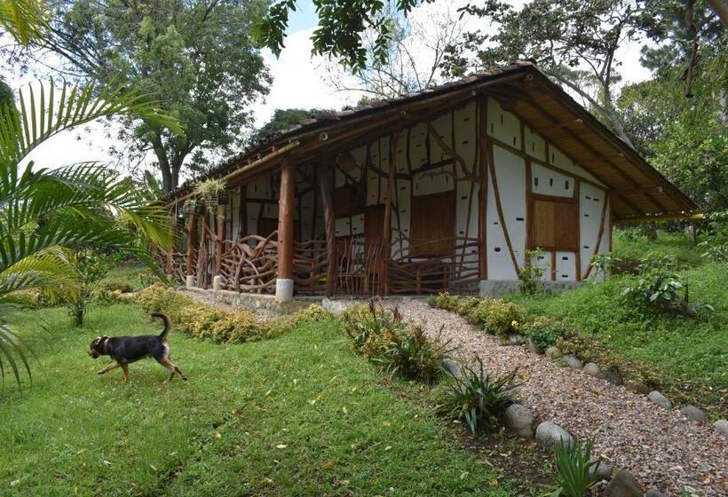 スタンダードトリプルルーム, La Casa De Francois