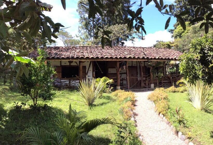 スタンダードトリプルルーム, La Casa De Francois