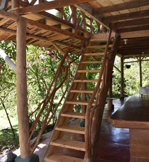 ルームシェアのワンベッド, La Casa De Francois