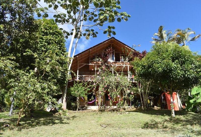 ルームシェアのワンベッド, La Casa De Francois