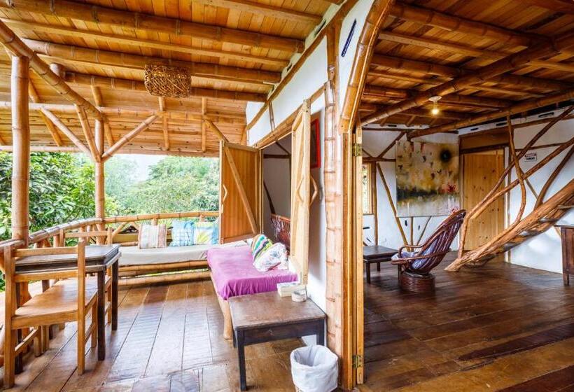 تختخواب در اتاق مشترک, La Casa De Francois