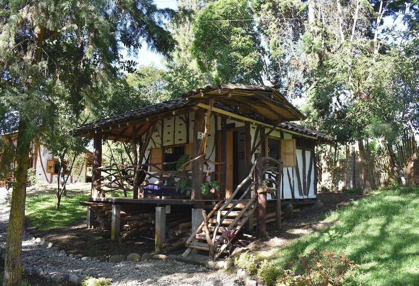 スタンダードルーム, La Casa De Francois