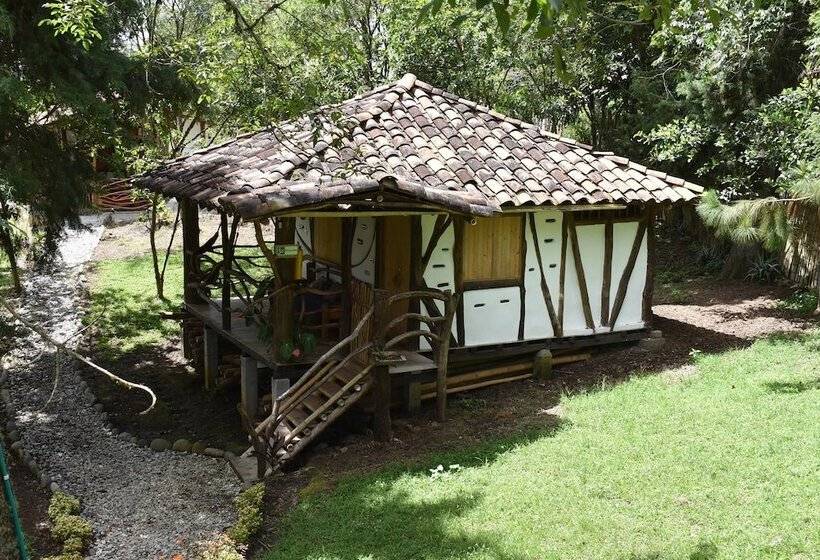 スタンダードルーム, La Casa De Francois