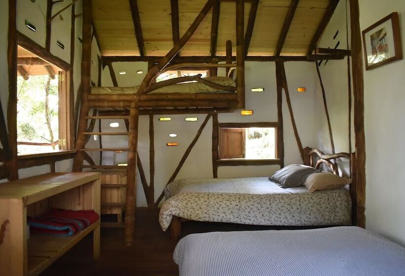 اتاق استاندارد, La Casa De Francois