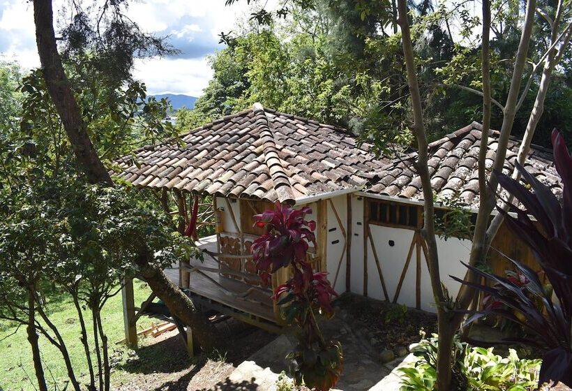 スタンダードルーム, La Casa De Francois