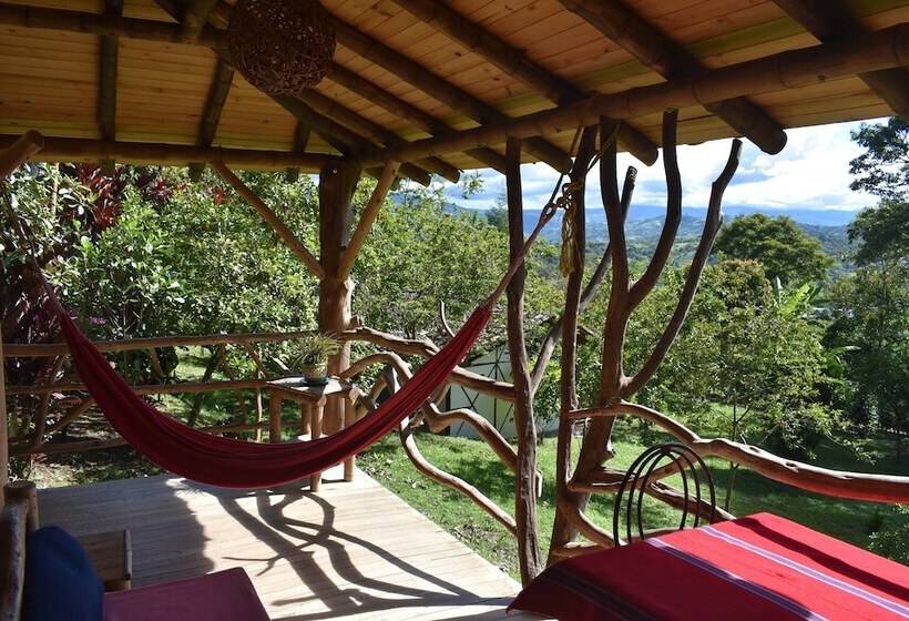 スタンダードルーム, La Casa De Francois