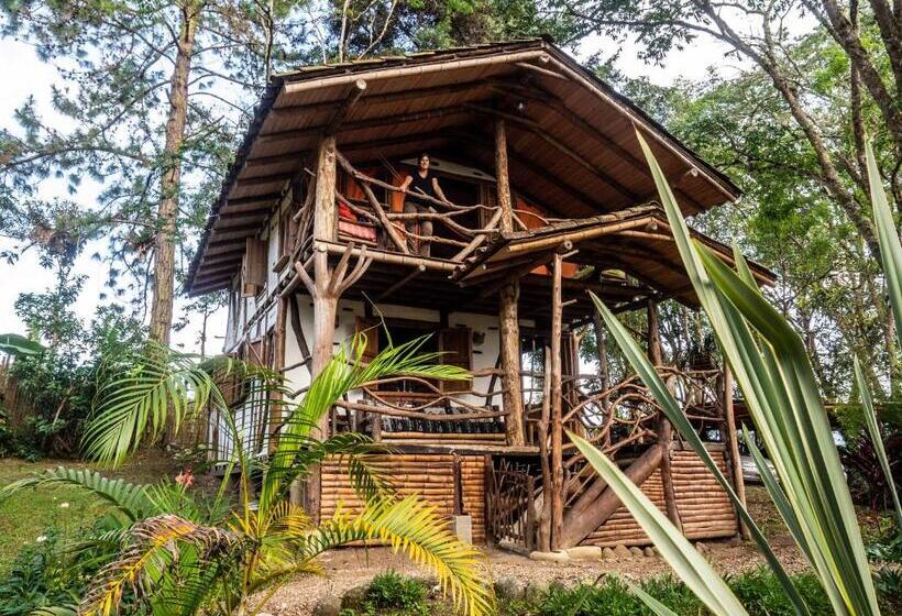 استودیو خانوادگی, La Casa De Francois