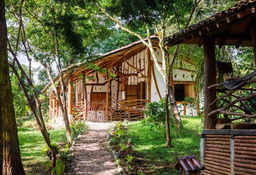 スタンダードトリプルルーム, La Casa De Francois