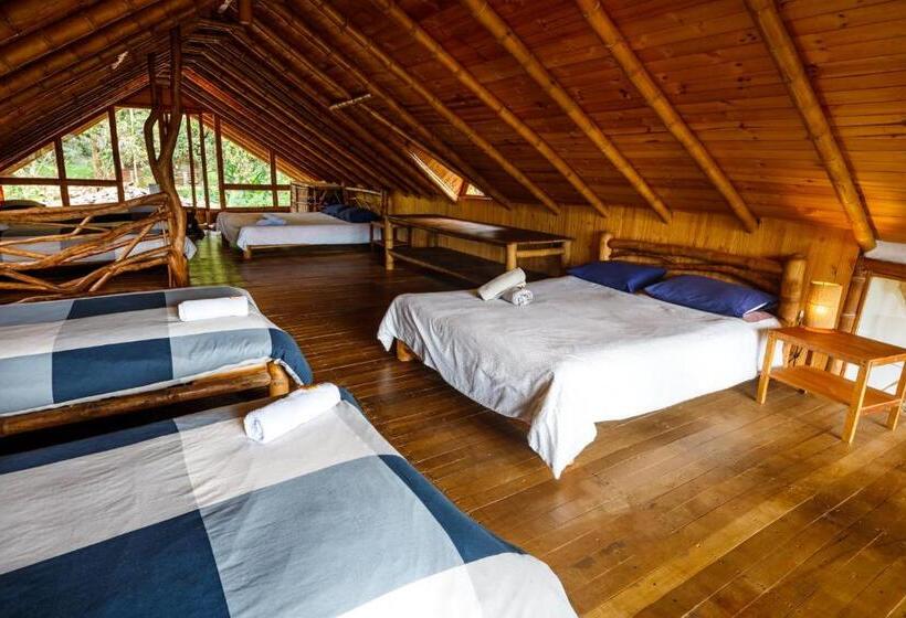 ルームシェアのワンベッド, La Casa De Francois