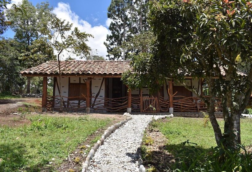 اتاق استاندارد, La Casa De Francois