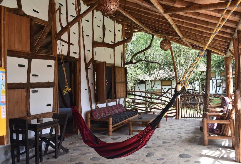 اتاق استاندارد, La Casa De Francois