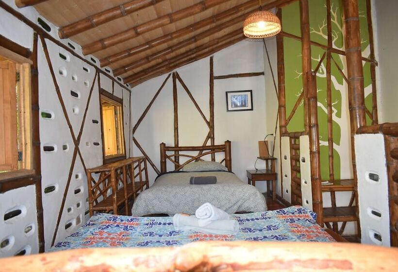 スタンダードルーム, La Casa De Francois