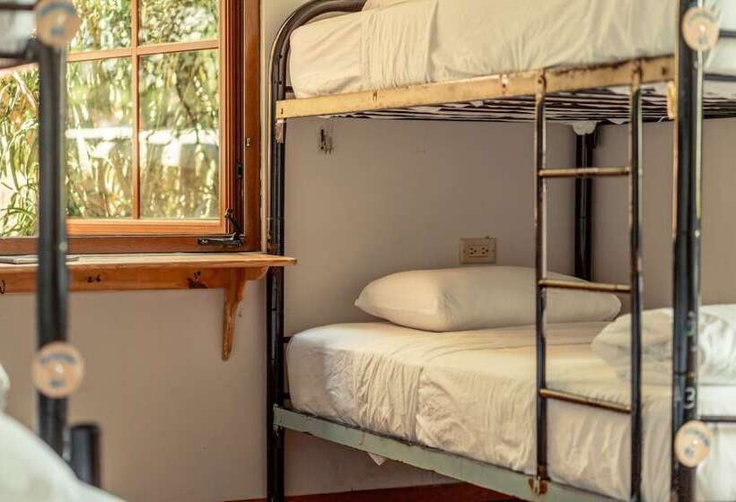 공동 객실, Bambuda Castle