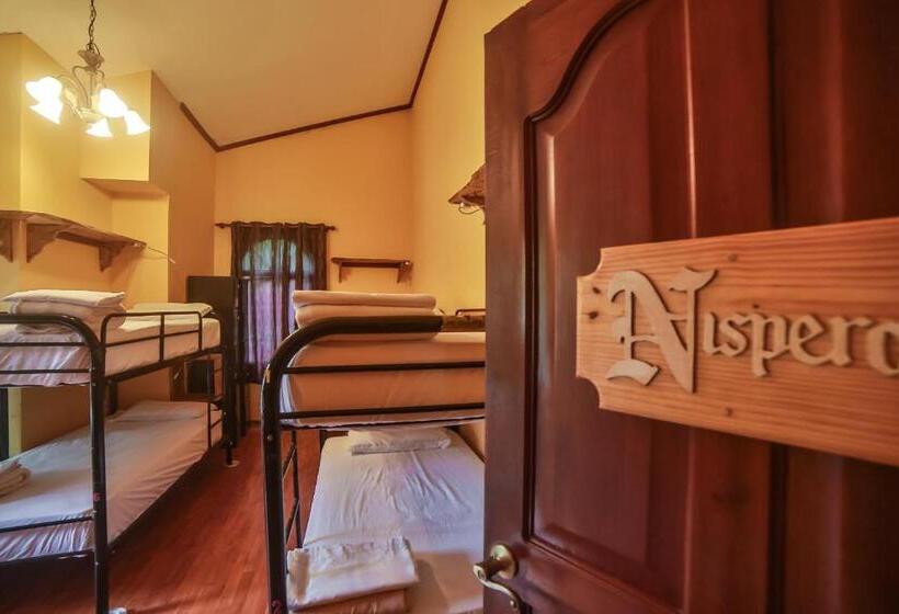 공동 객실, Bambuda Castle