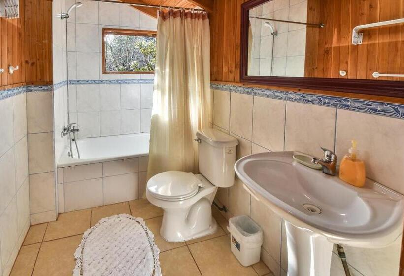 Superior Vierpersoonskamer, Hola Pucon