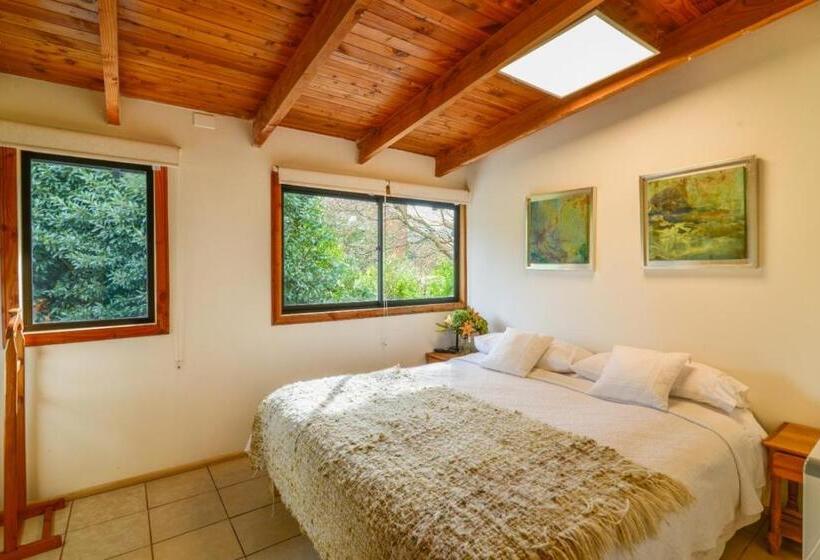 Quarto Superior, Hola Pucon