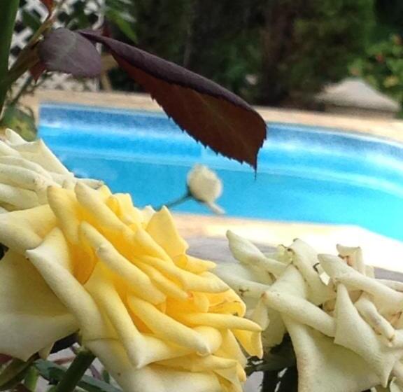 스위트, Edelweiss Pomerode