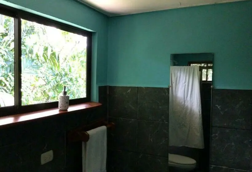 اتاق اکونومی, Jodokus Inn