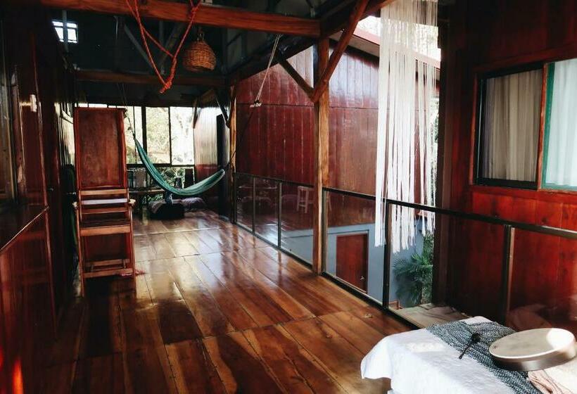 اتاق اکونومی, Jodokus Inn