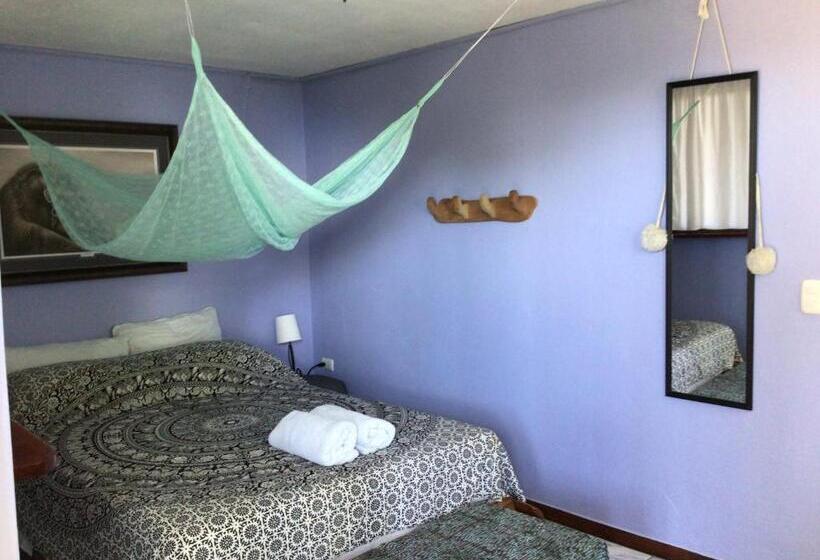 اتاق اکونومی, Jodokus Inn