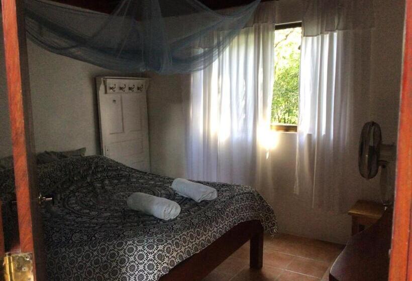 اتاق استاندارد, Jodokus Inn