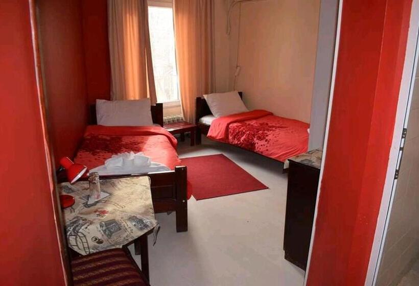 스탠다드 룸, Trakia