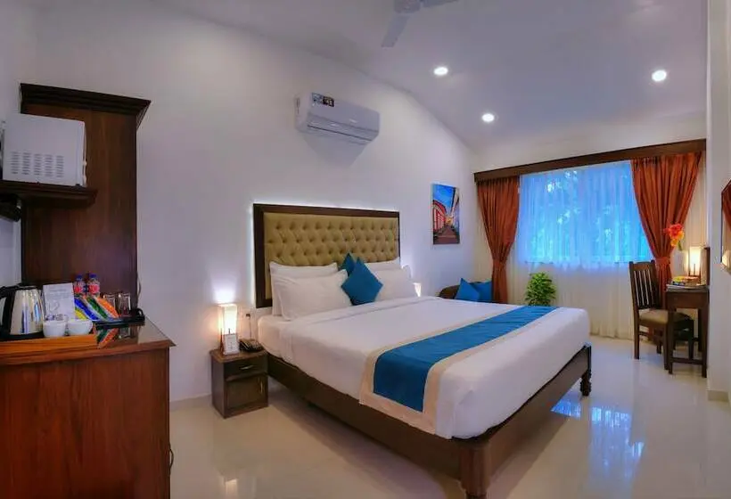 Superior-huone, Treehouse Nova