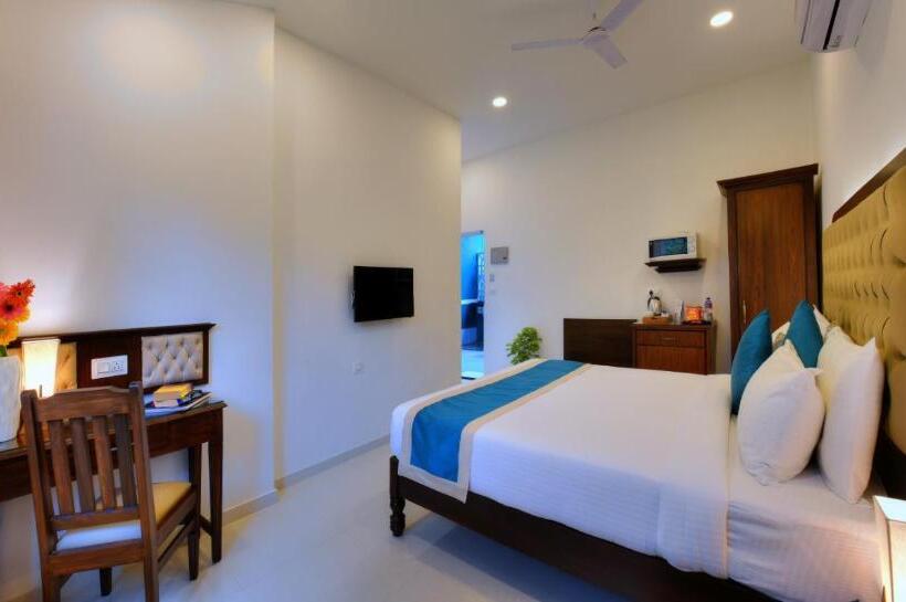 Superior Szoba, Treehouse Nova